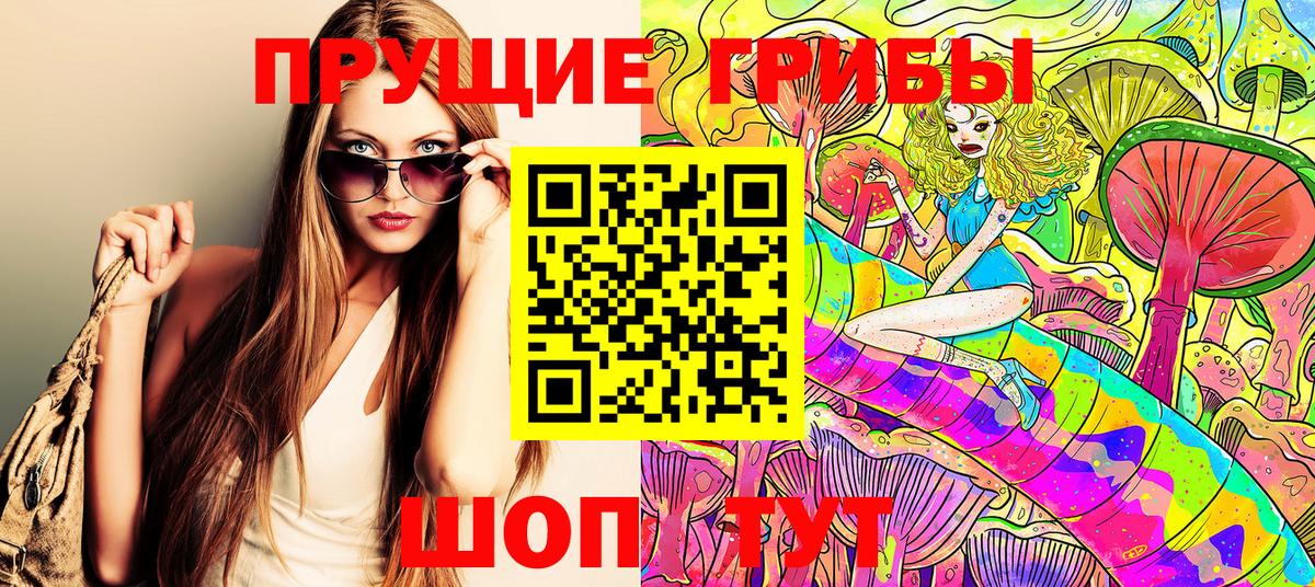 Галлюциногенные грибы Magic Shrooms Карачаевск